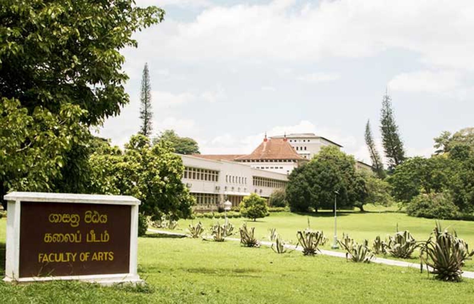 Donation of Library Books to the Faculty of Arts