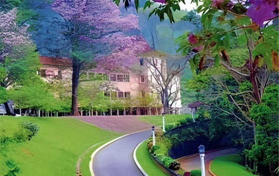 University of Peradeniya